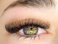 The Lash Spa image 1